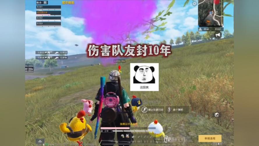 和平精英辅助：辅助软件的辩证视角与游戏公平